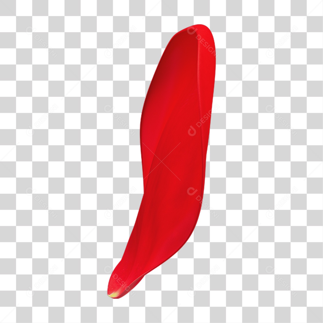 Pétalas de Rosas Flores PNG Transparente