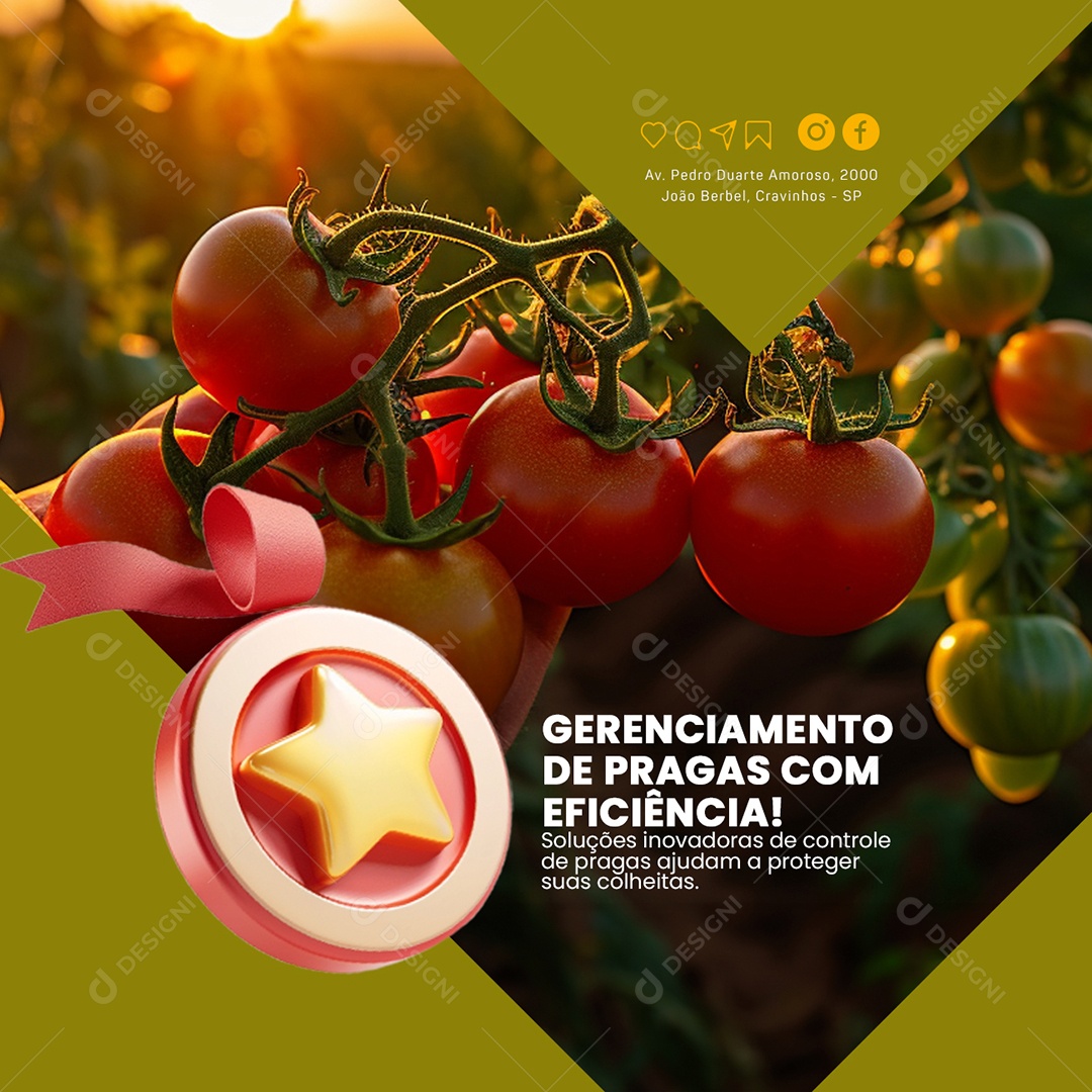 Agro Gerenciamento de Pragas com Eficiência Social Media PSD Editável