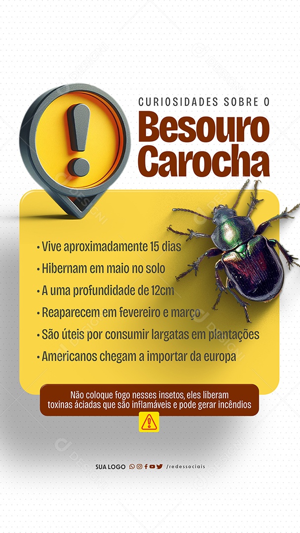 Story Dedetizadora Besouro Carocha Curiosidades Social Media PSD Editável