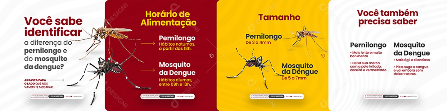Carrossel Diferença do Pernilongo e Mosquito da Dengue Social Media PSD Editável