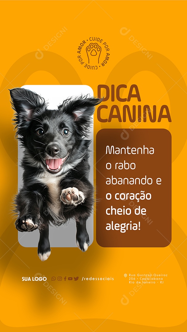 Story Petshop Dica Canina Social Media PSD Editável