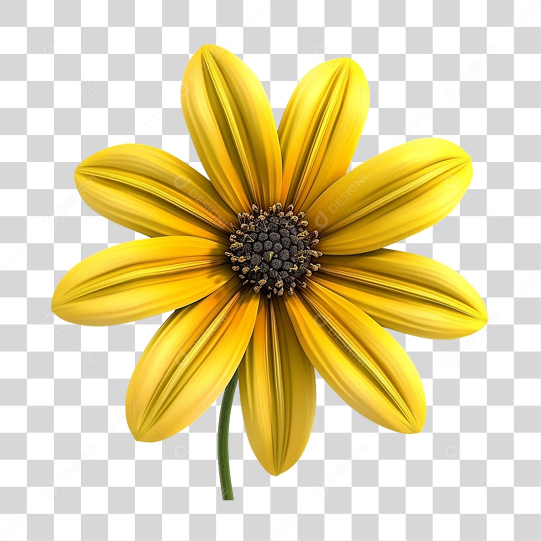 Flor Amarela PNG Transparente