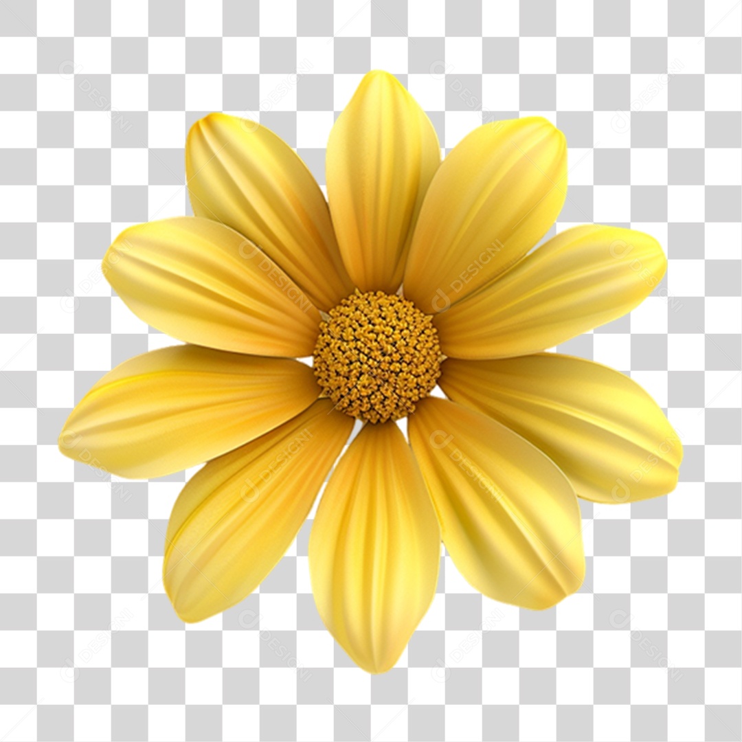 Flor Amarela PNG Transparente