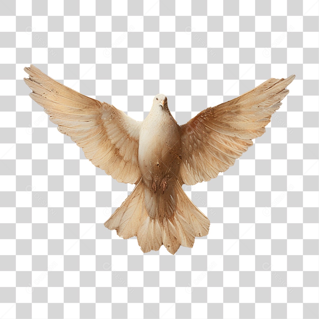 Espirito santo PNG Transparente