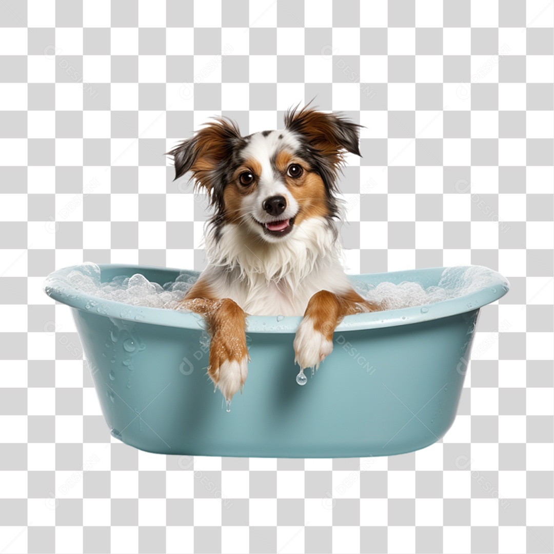 Cachorro de Estimação Banhando em Banheira PNG Transparente
