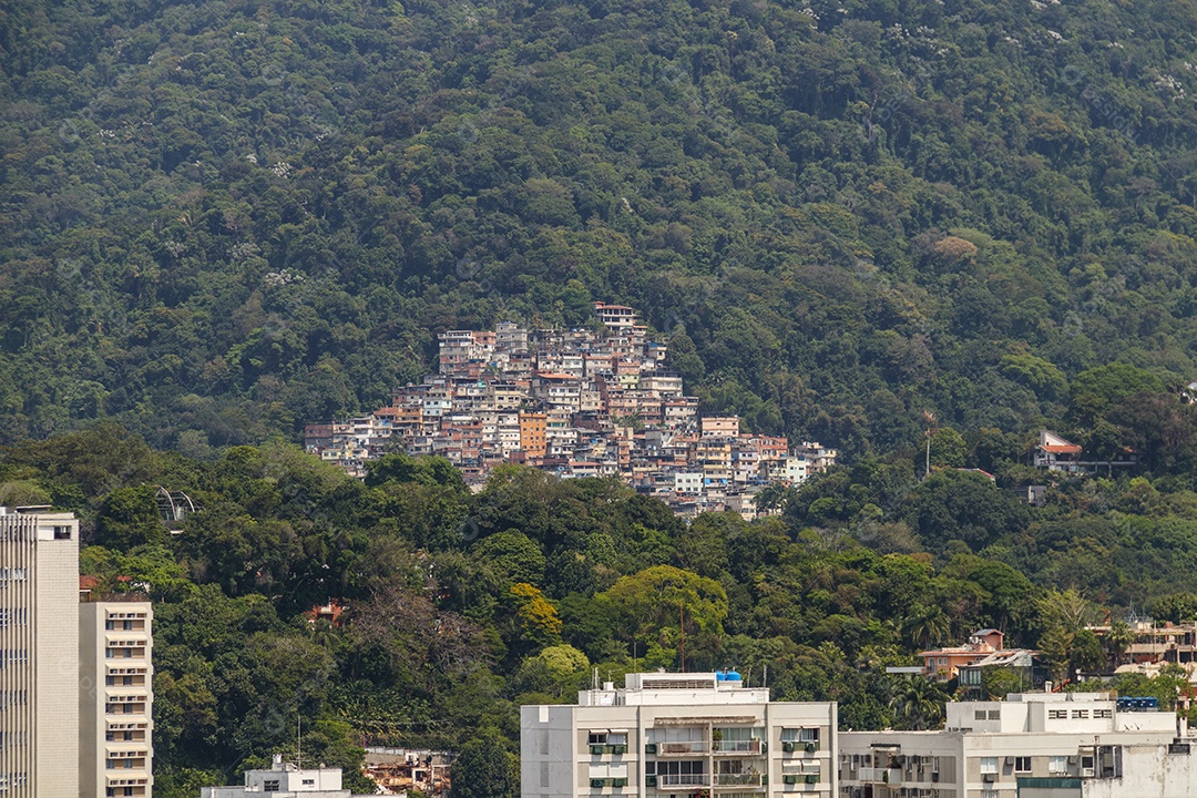 Comunidade do parque da cidade vista do bairro do Leblon