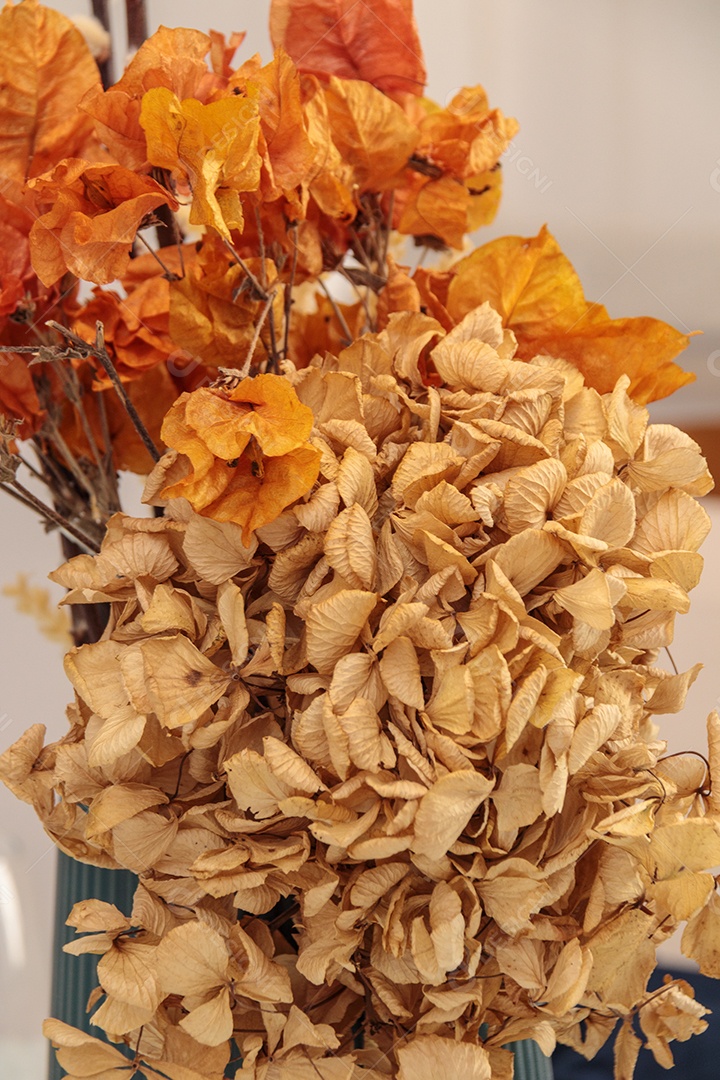 Flores secas ainda vida para decoração