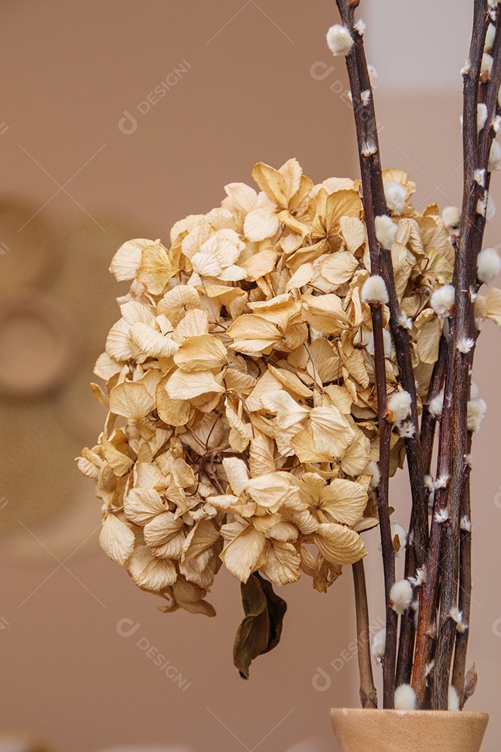 Flores secas ainda vida para decoração