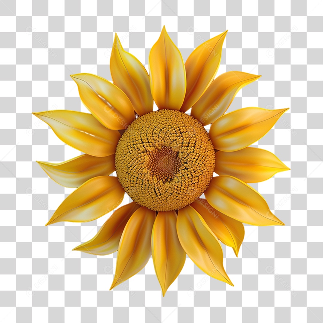 Flores Rosas Plantas PNG Transparente