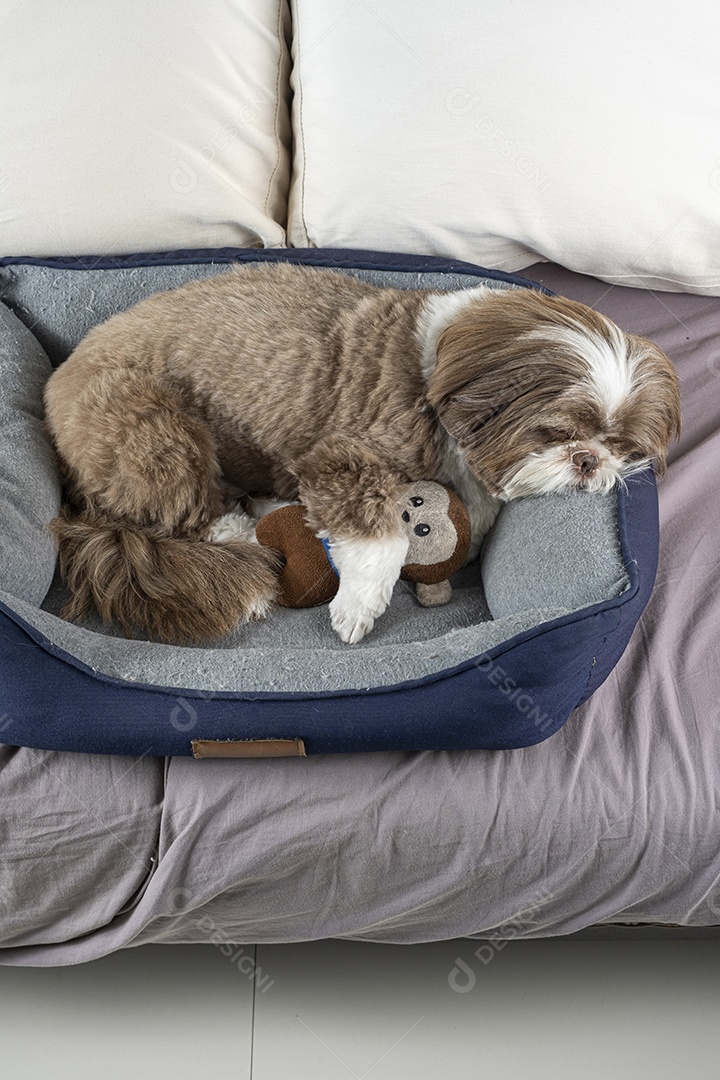 Cachorro fofo abraçado com pelúcia