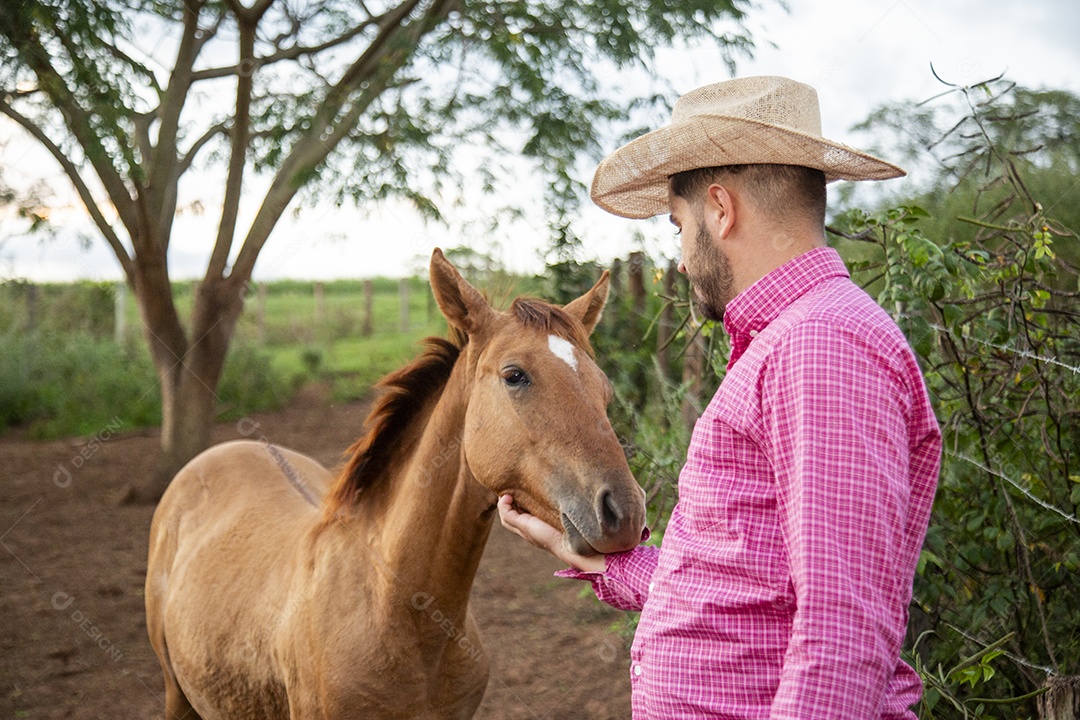 Homem jovem fazendeiro sobre fazenda