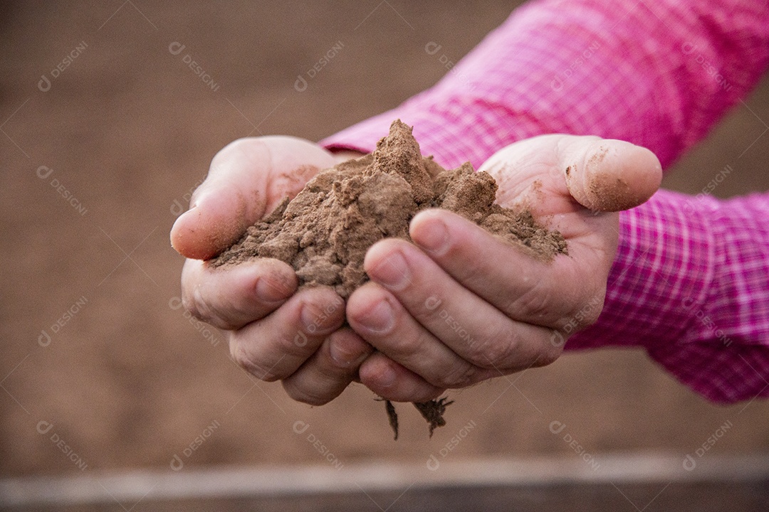 Mãos de agricultor sobre uma fazenda