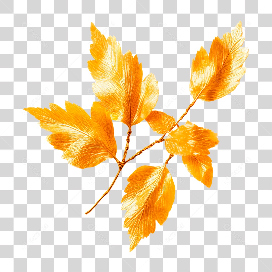 Folha PNG Transparente