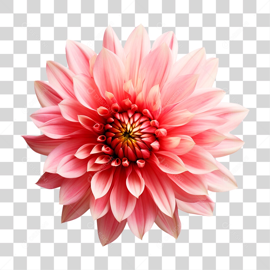 Flor PNG Transparente