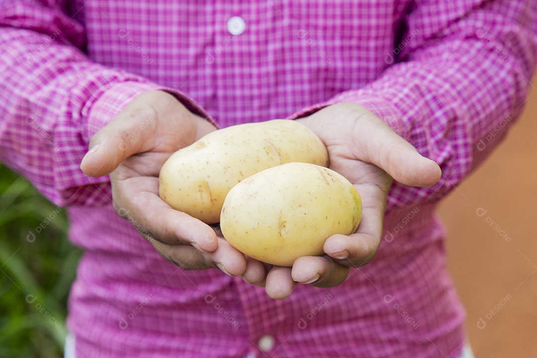 Homem jovem fazendeiro sobre fazenda segurando batatas