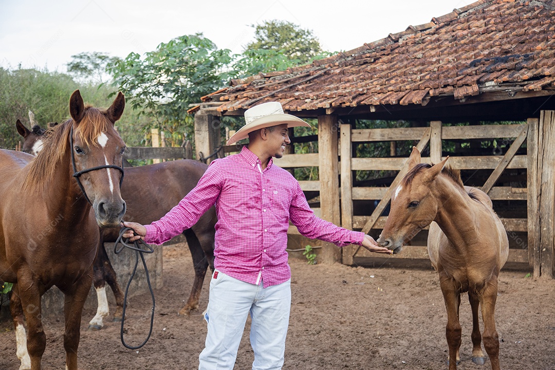 Homem jovem fazendeiro cuidando de seus cavalos