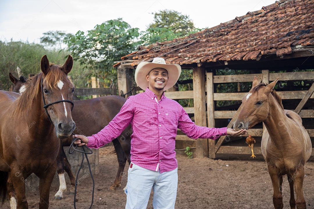 Homem jovem fazendeiro cuidando de seus cavalos