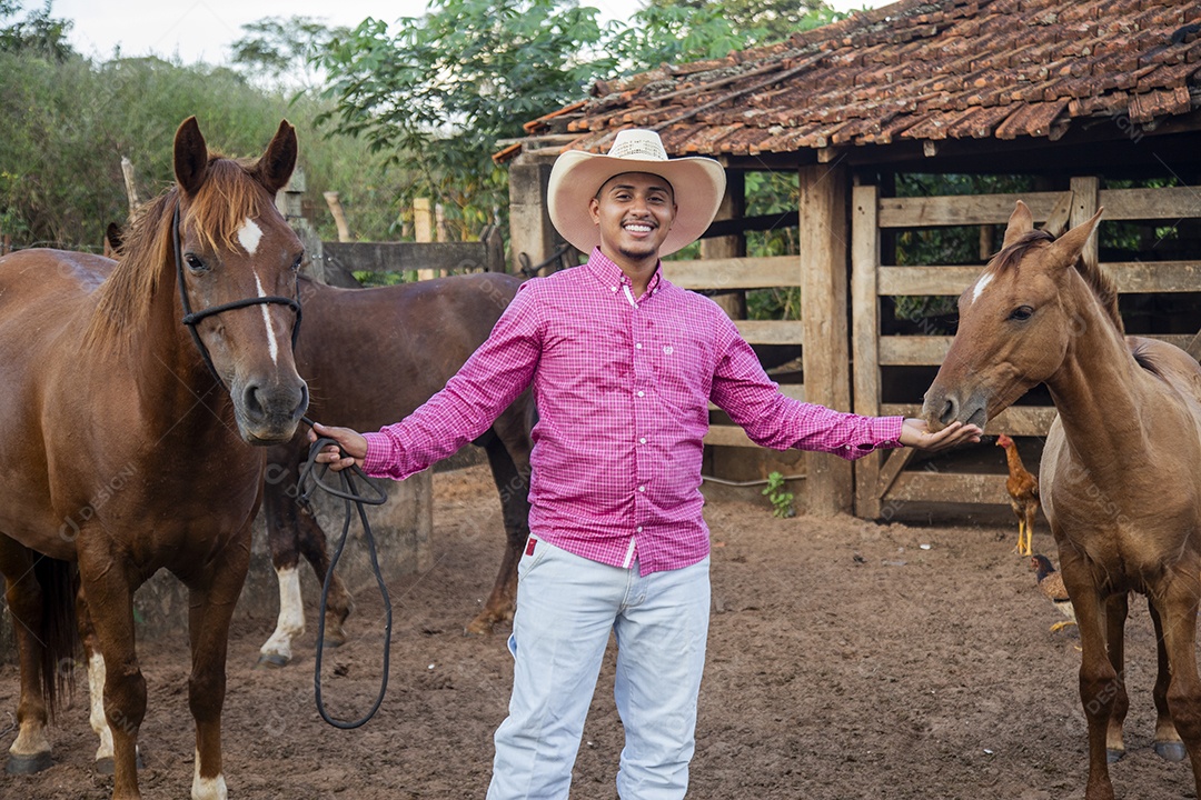 Homem jovem fazendeiro cuidando de seus cavalos