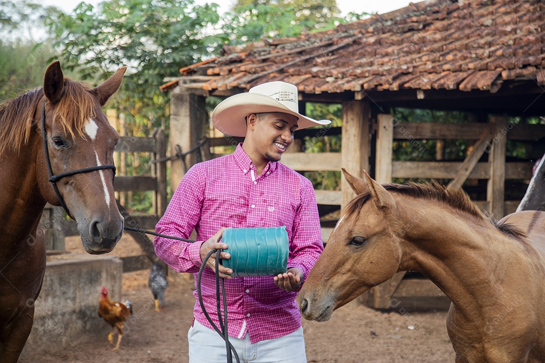 Homem jovem fazendeiro cuidando de seus cavalos
