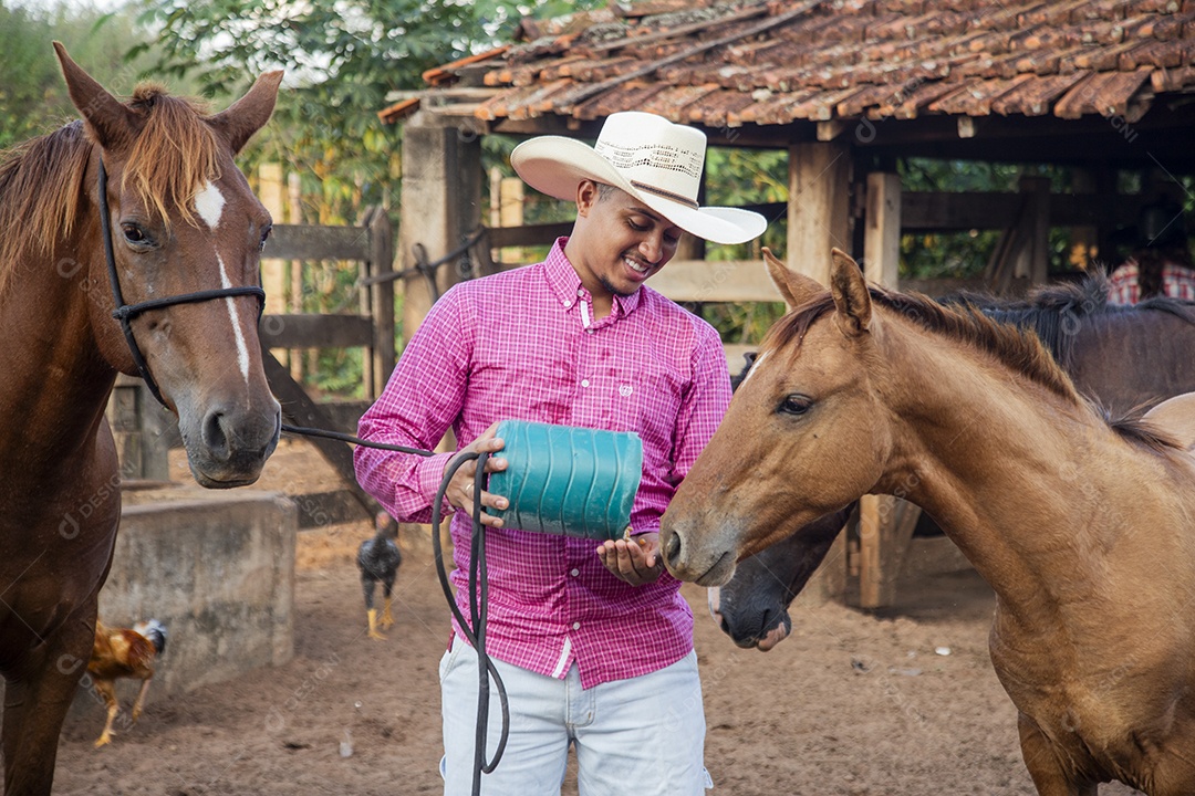 Homem jovem fazendeiro cuidando de seus cavalos