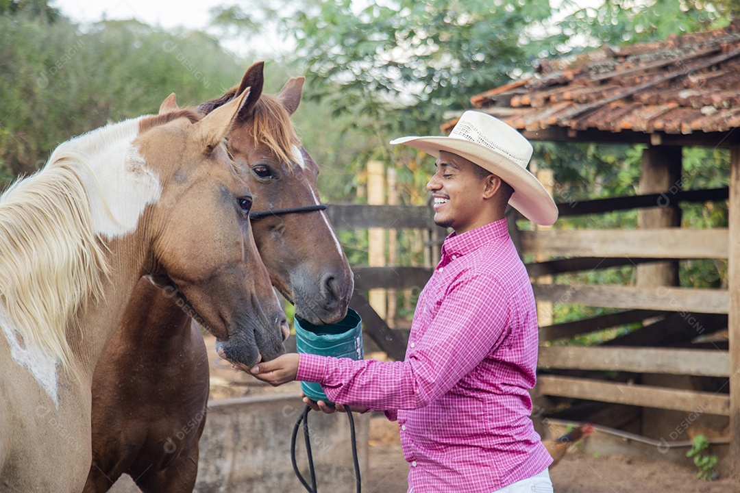 Homem jovem fazendeiro cuidando de seus cavalos