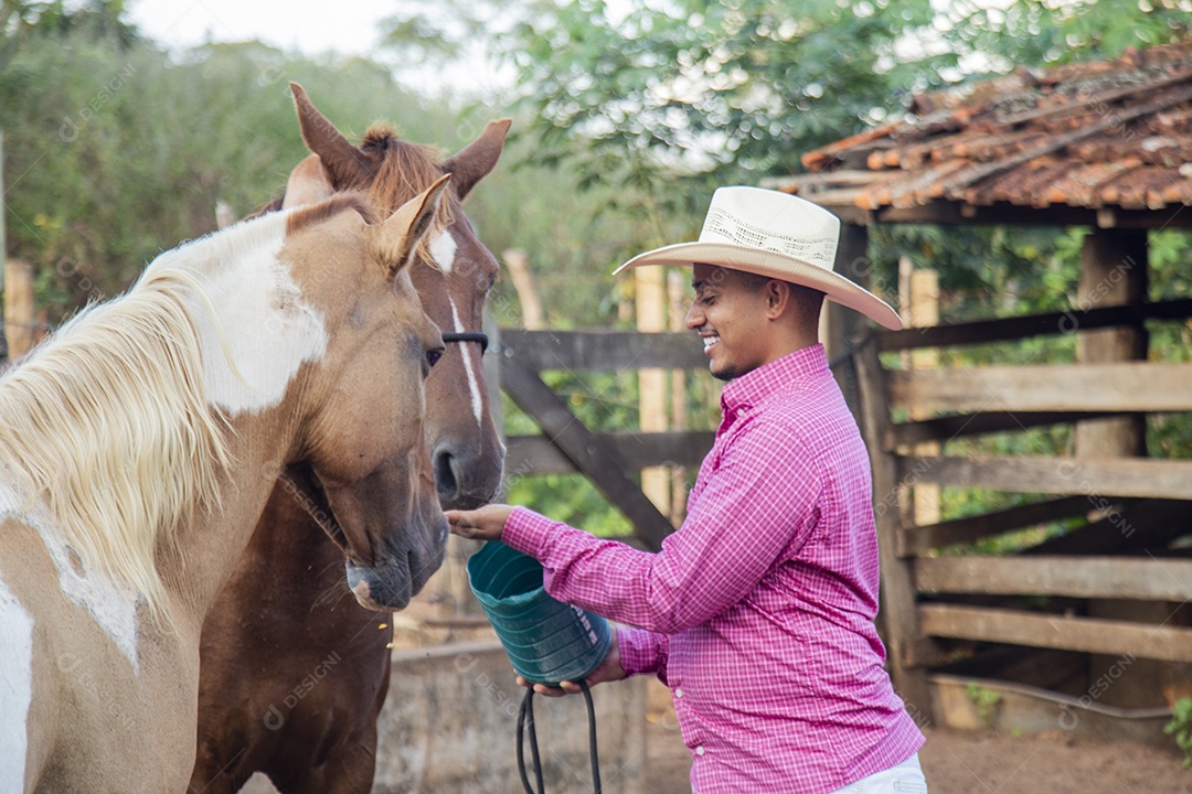 Homem jovem fazendeiro cuidando de seus cavalos