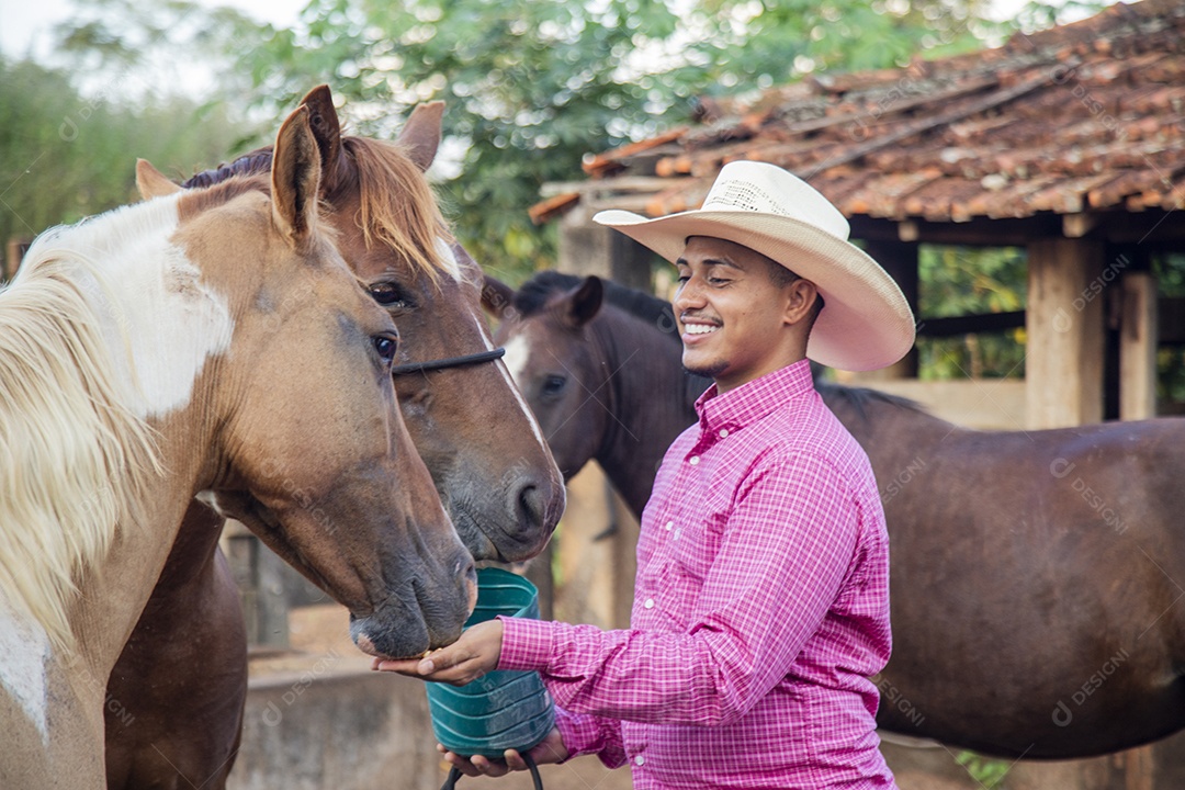 Homem jovem fazendeiro cuidando de seus cavalos