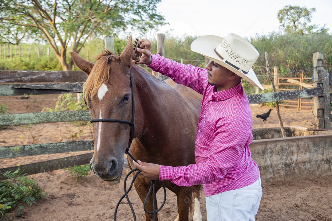 Homem jovem fazendeiro cuidando de seus cavalos