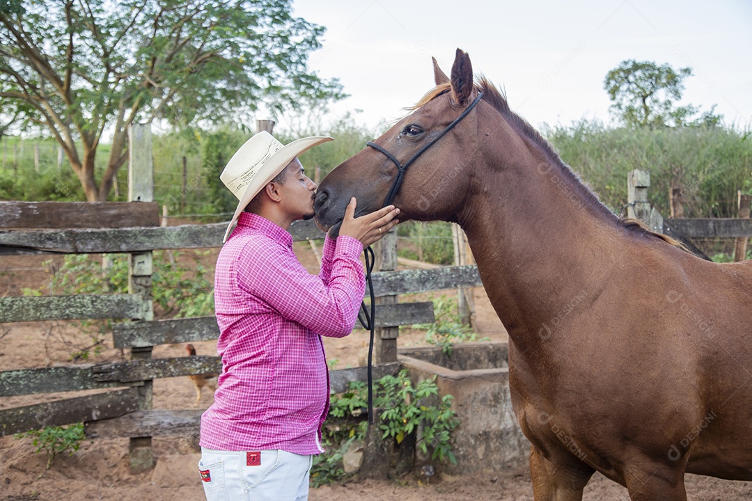 Homem jovem fazendeiro cuidando de seus cavalos