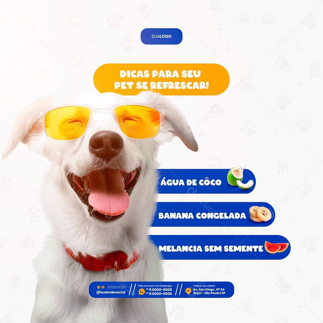 Feed Petshop Dicas para seu Pet se Refrescar Social Media PSD Editável