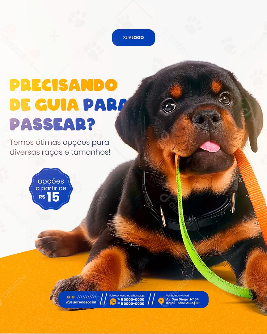 Petshop Precisando de Guia para Passear Social Media PSD Editável