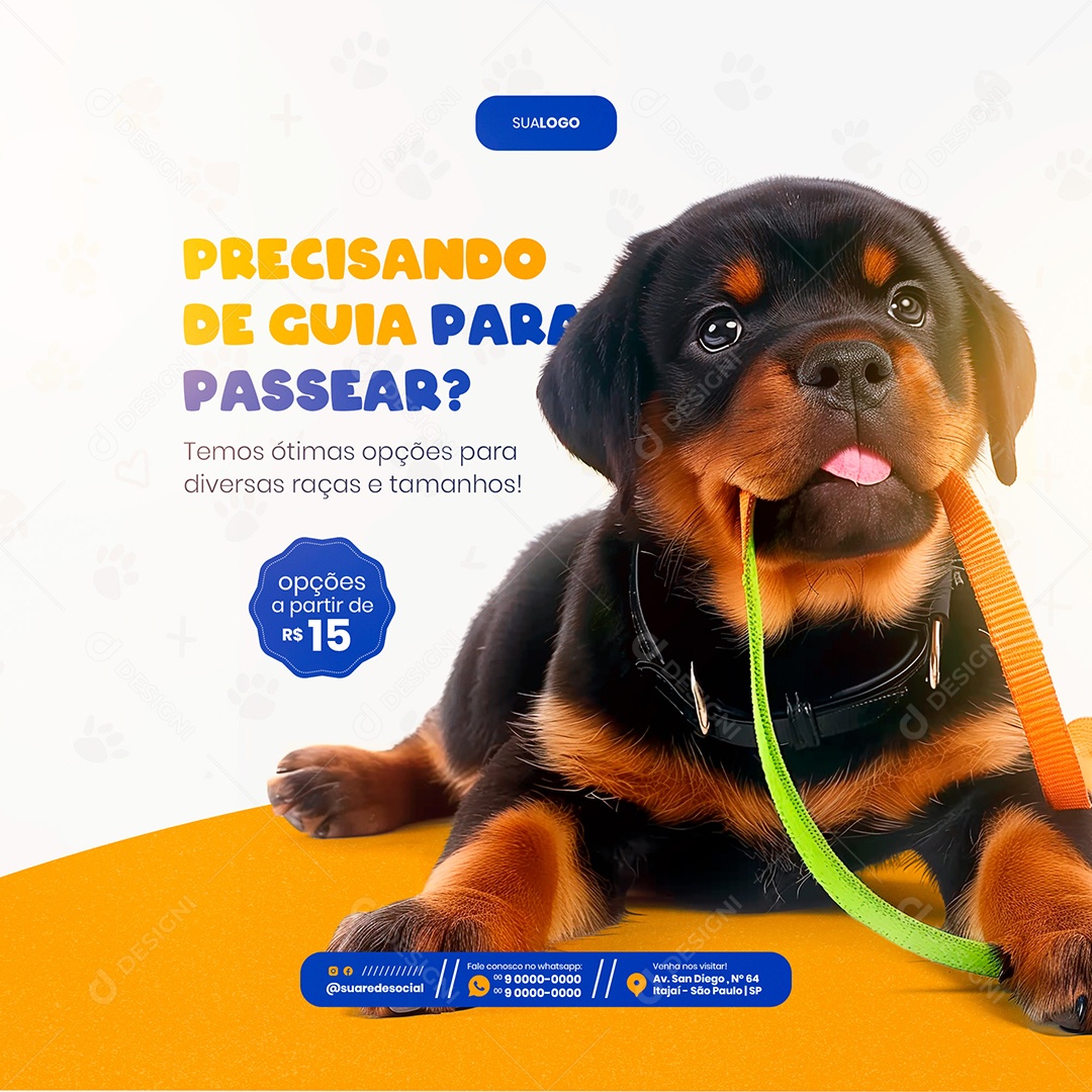 Feed Petshop Precisando de Guia para Passear Social Media PSD Editável