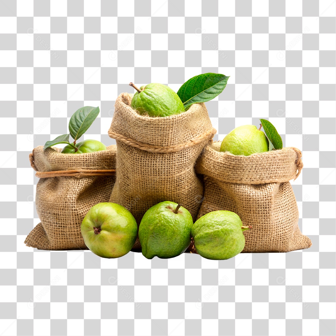 Goiaba fresco em sacos de estopa isolado fundo transparente