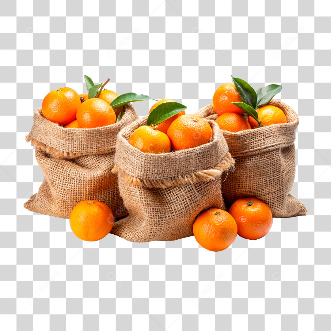 Laranja fresco em sacos de estopa isolado fundo transparente