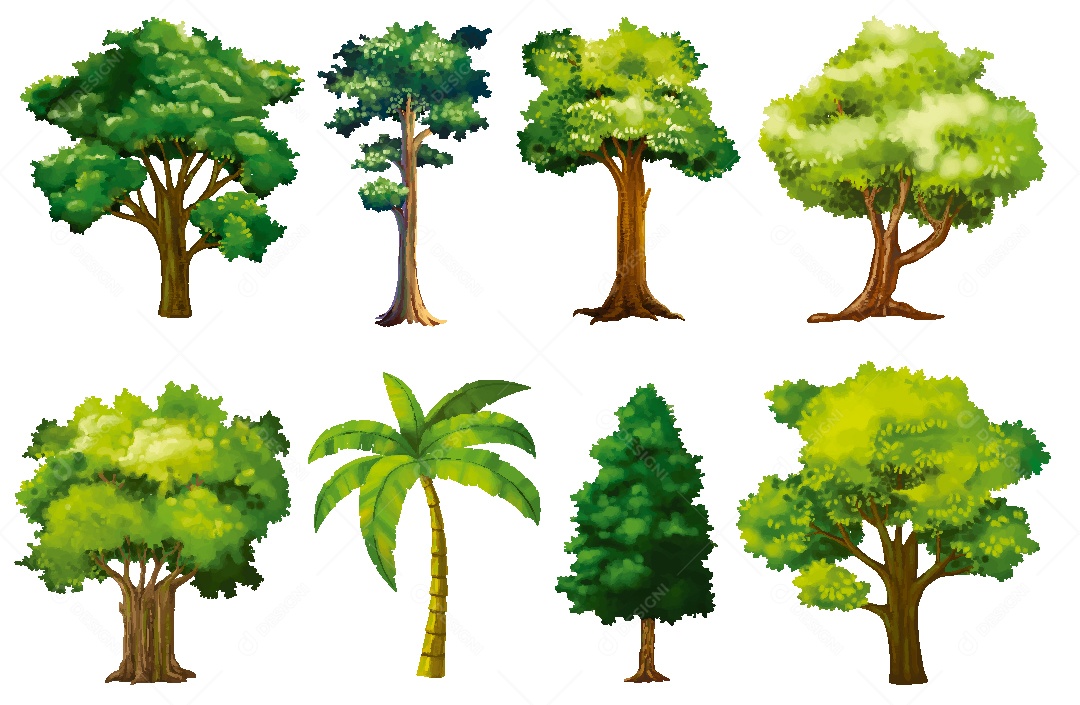 Conjunto de Árvores Ilustração Vetor EPS