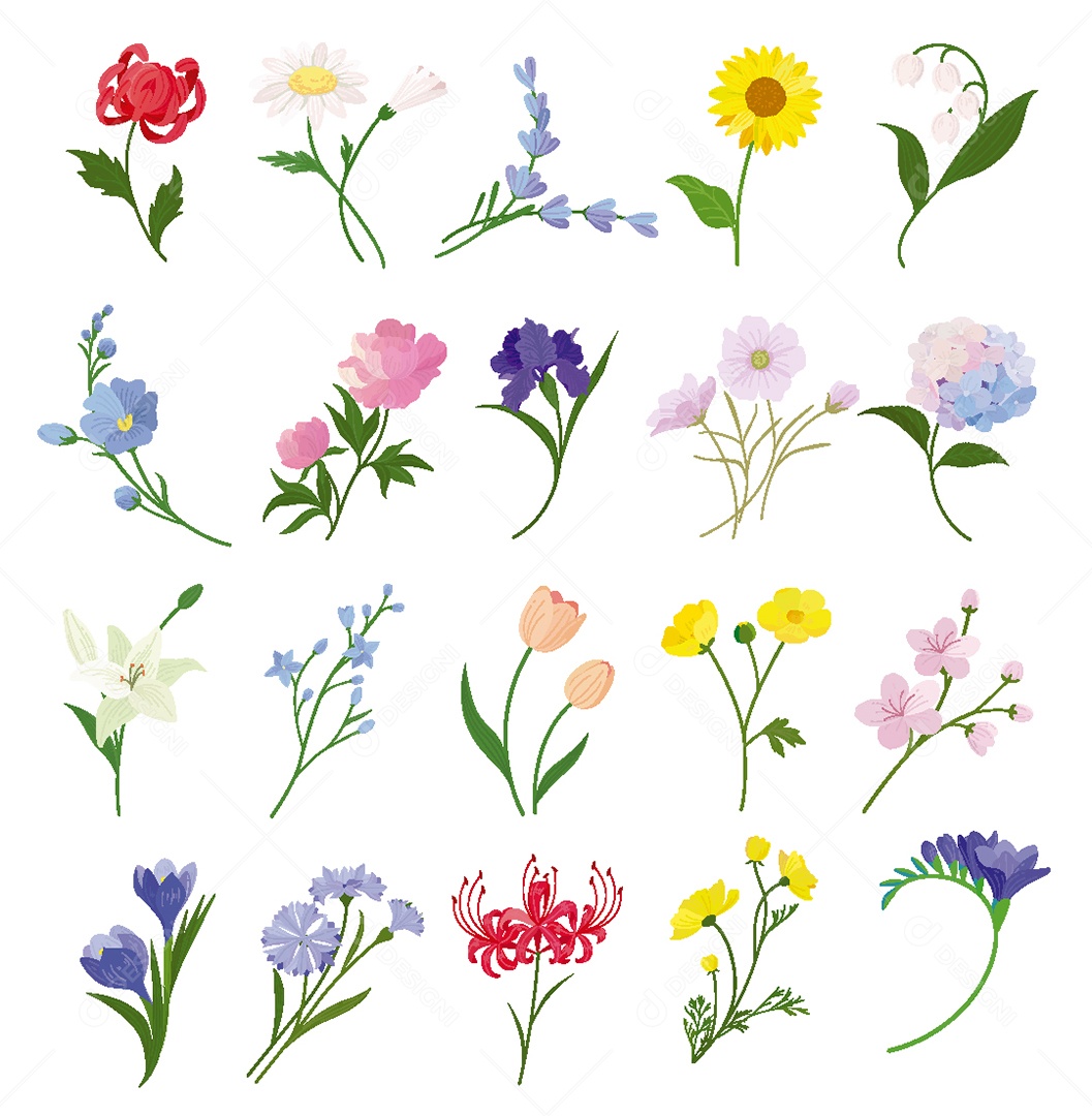 Conjunto de Flores Ilustração Vetor EPS