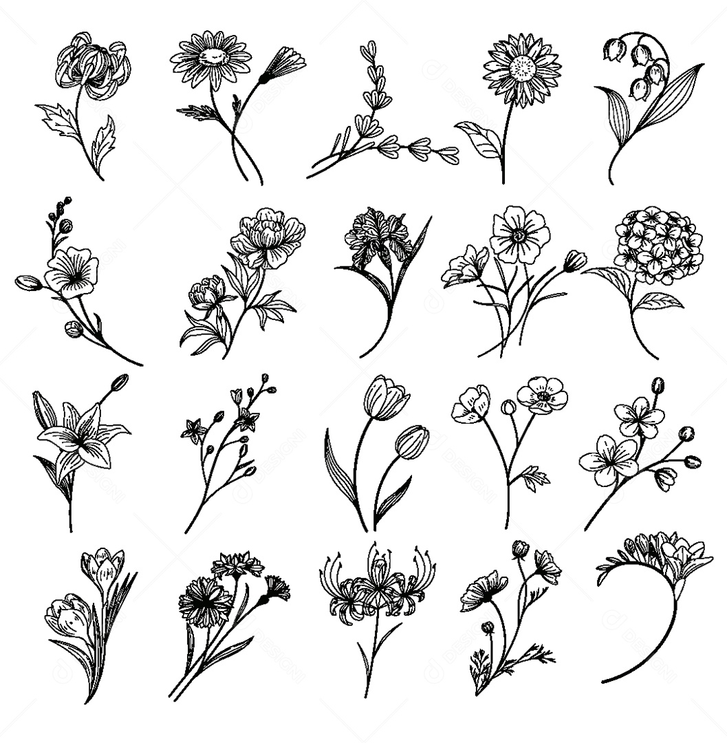 Conjunto de Flores Ilustração Vetor EPS