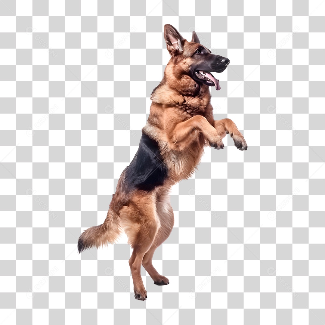 Cachorro PNG Transparente