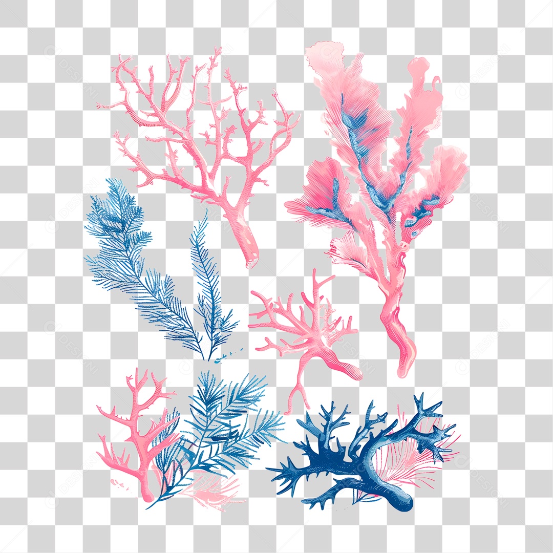 Coral Aquático PNG Transparente