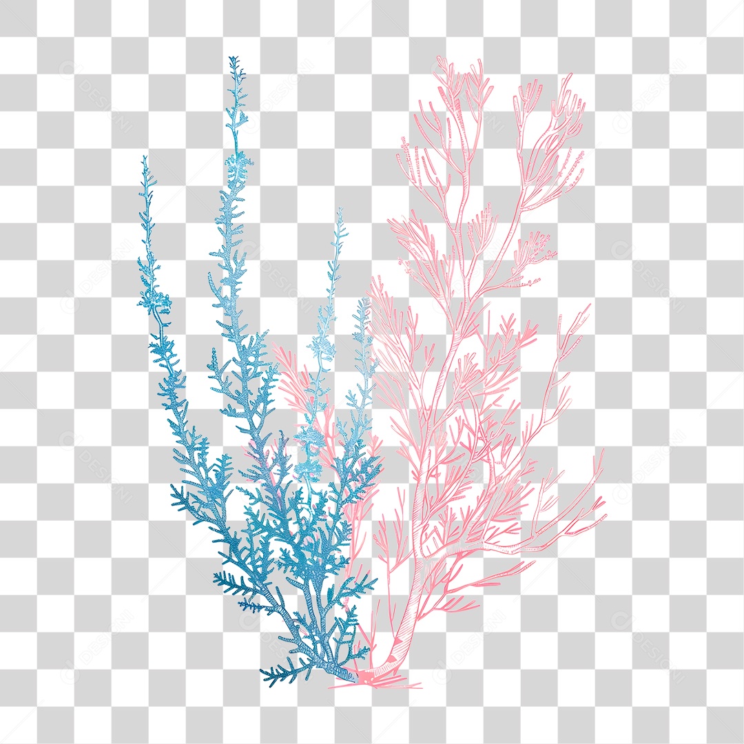 Coral Aquático PNG Transparente