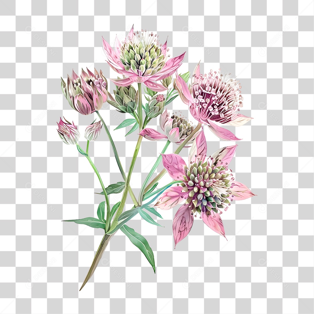 Planta Galho PNG Transparente