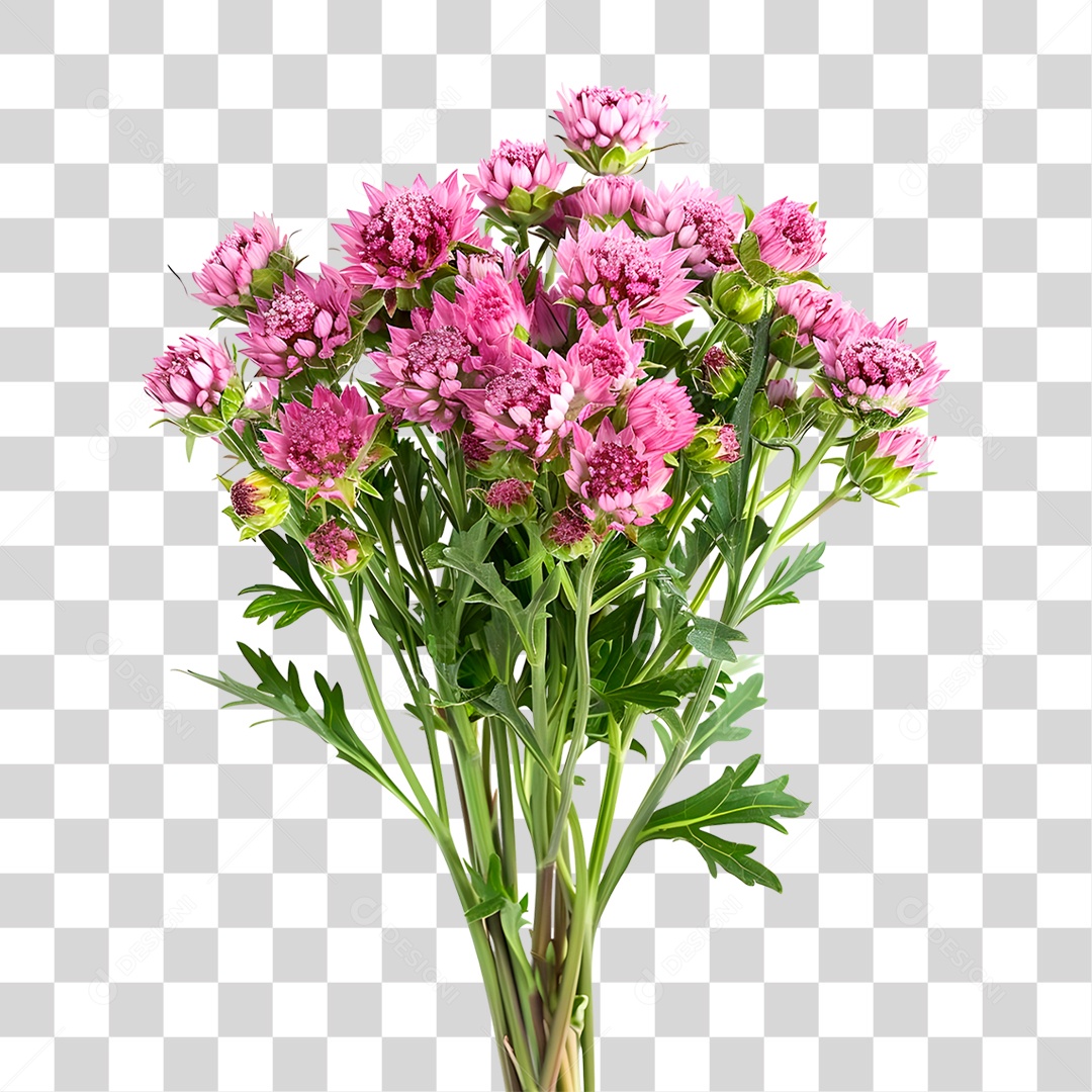 Planta Galho PNG Transparente