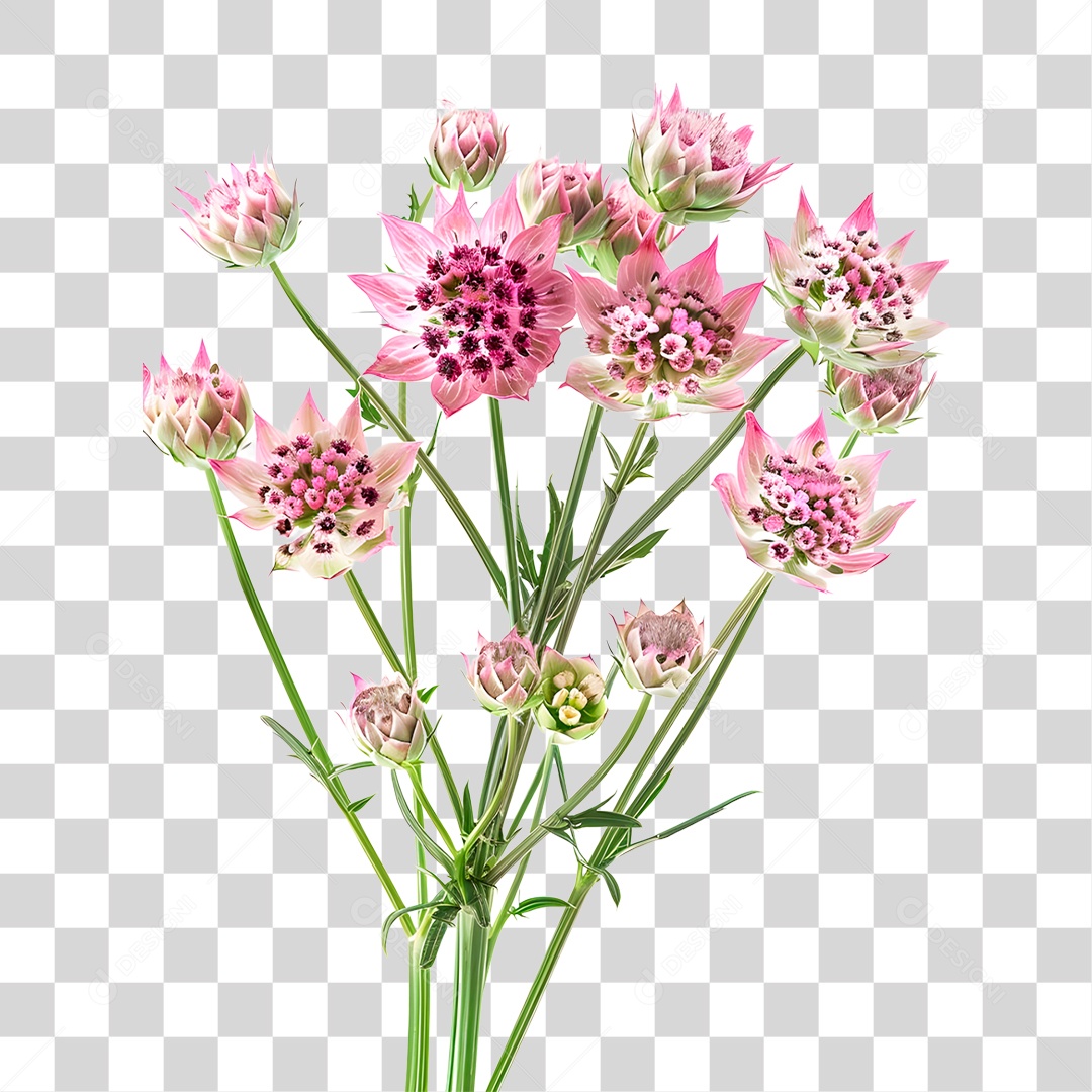 Planta Galho PNG Transparente