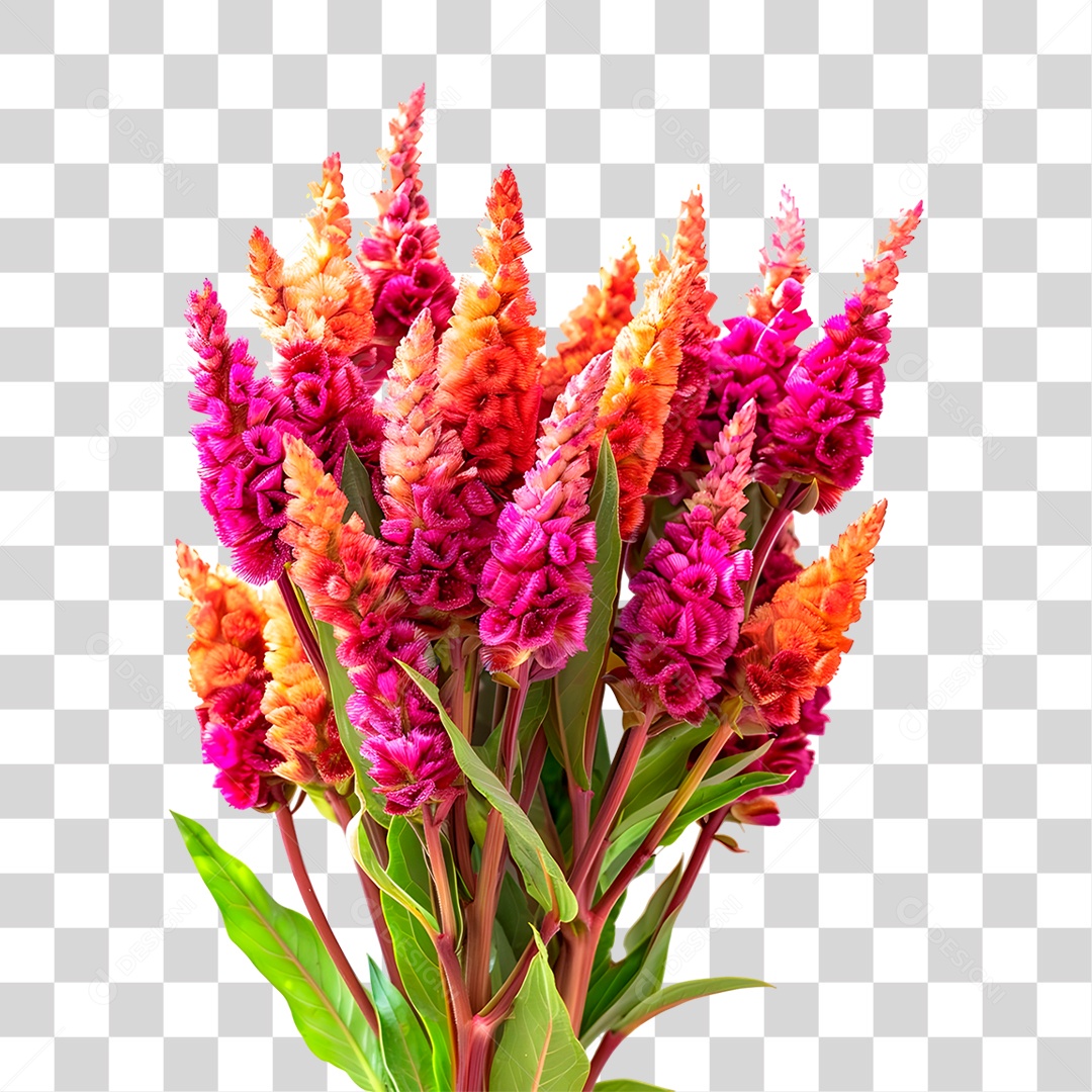 Planta Galho PNG Transparente