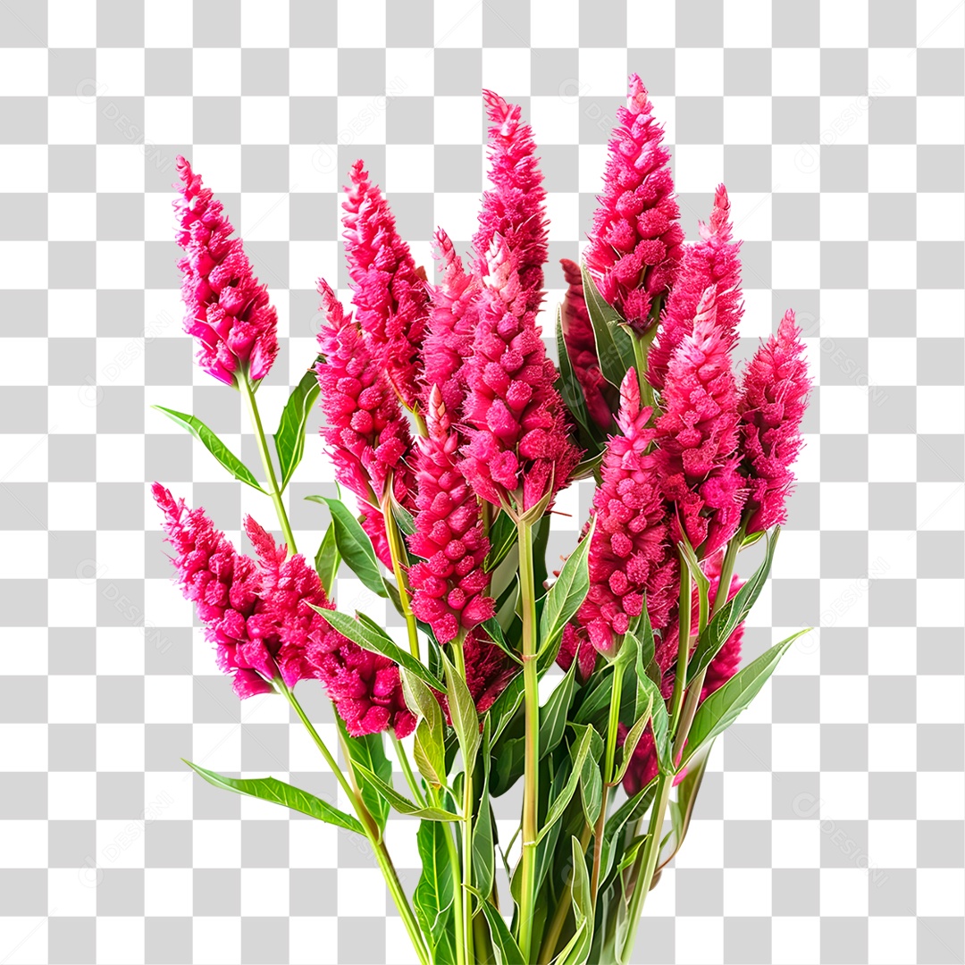 Planta Galho PNG Transparente