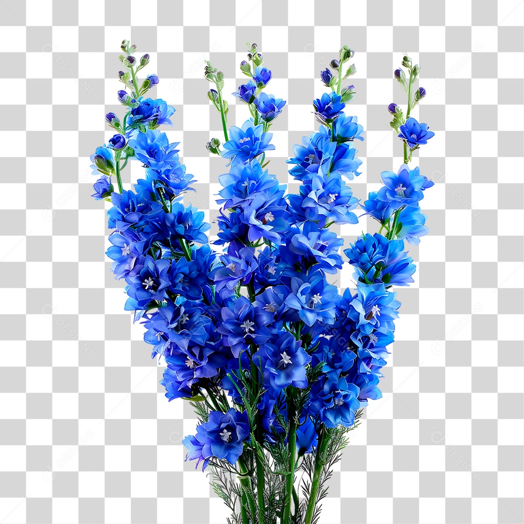 Planta Galho PNG Transparente