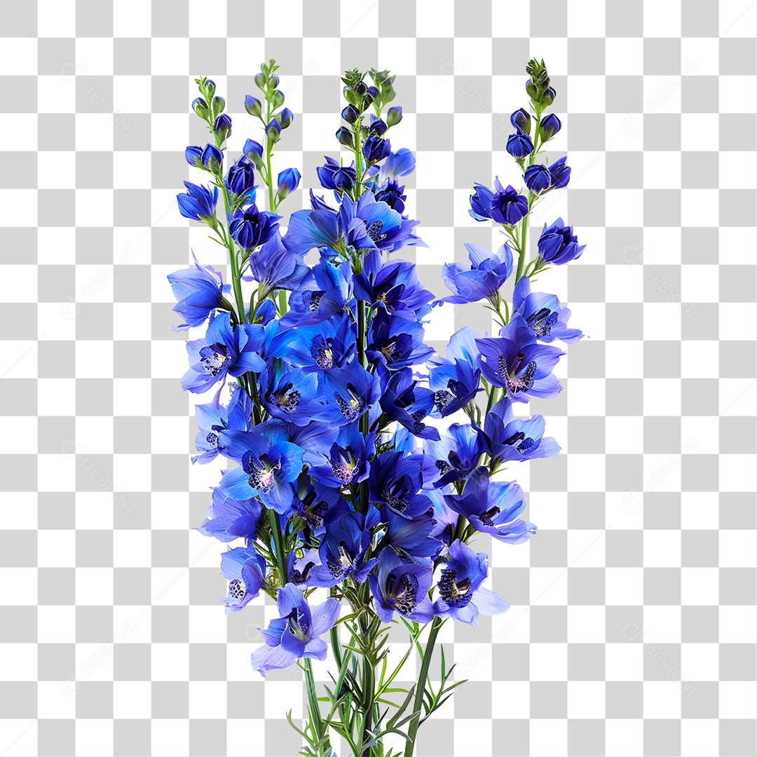 Planta Galho PNG Transparente