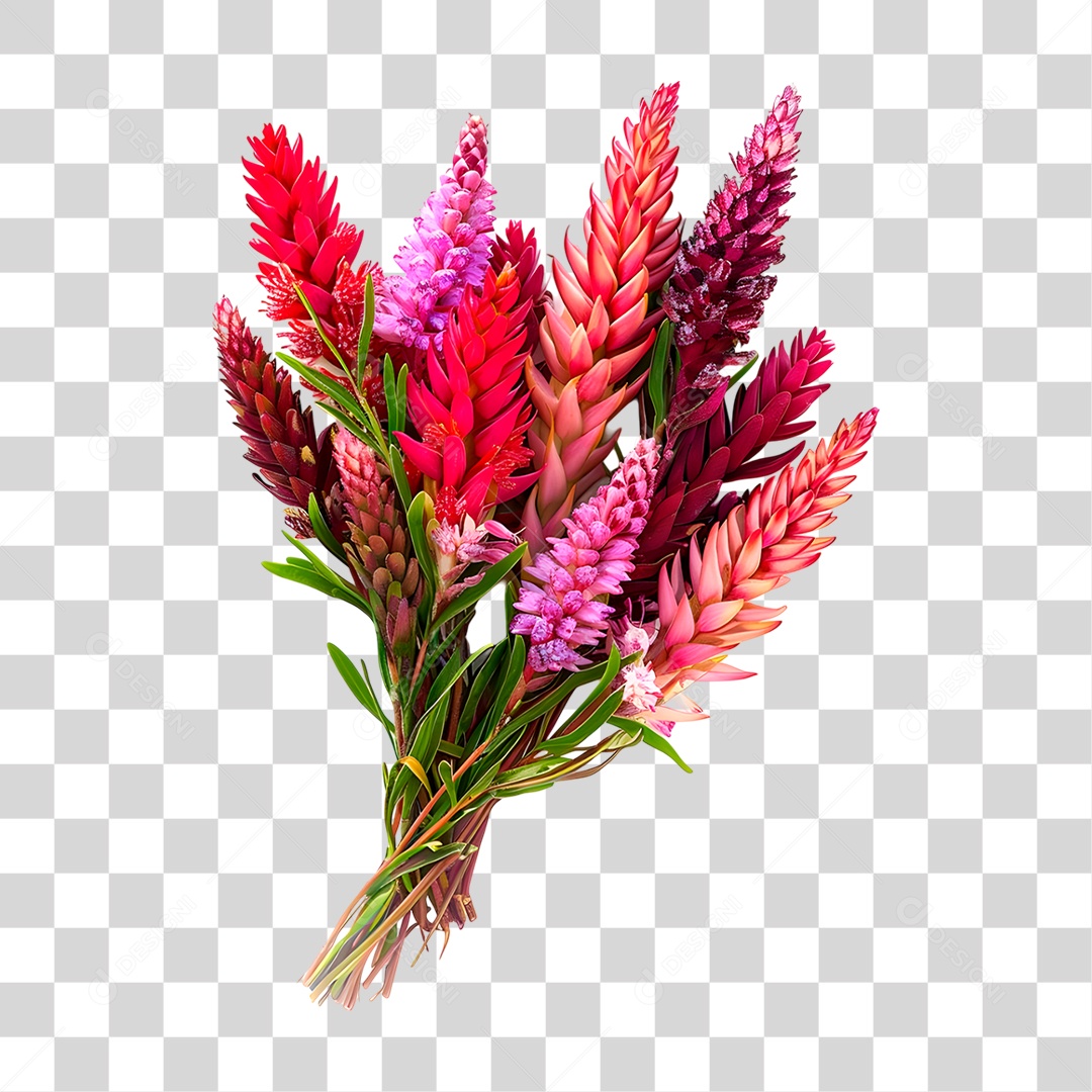 Planta Galho PNG Transparente