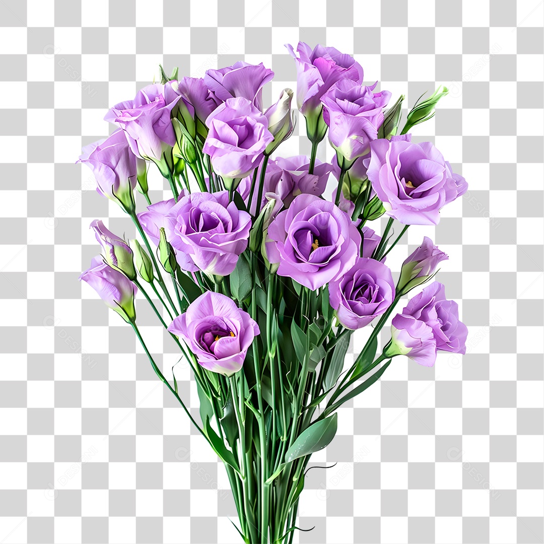 Planta Galho PNG Transparente