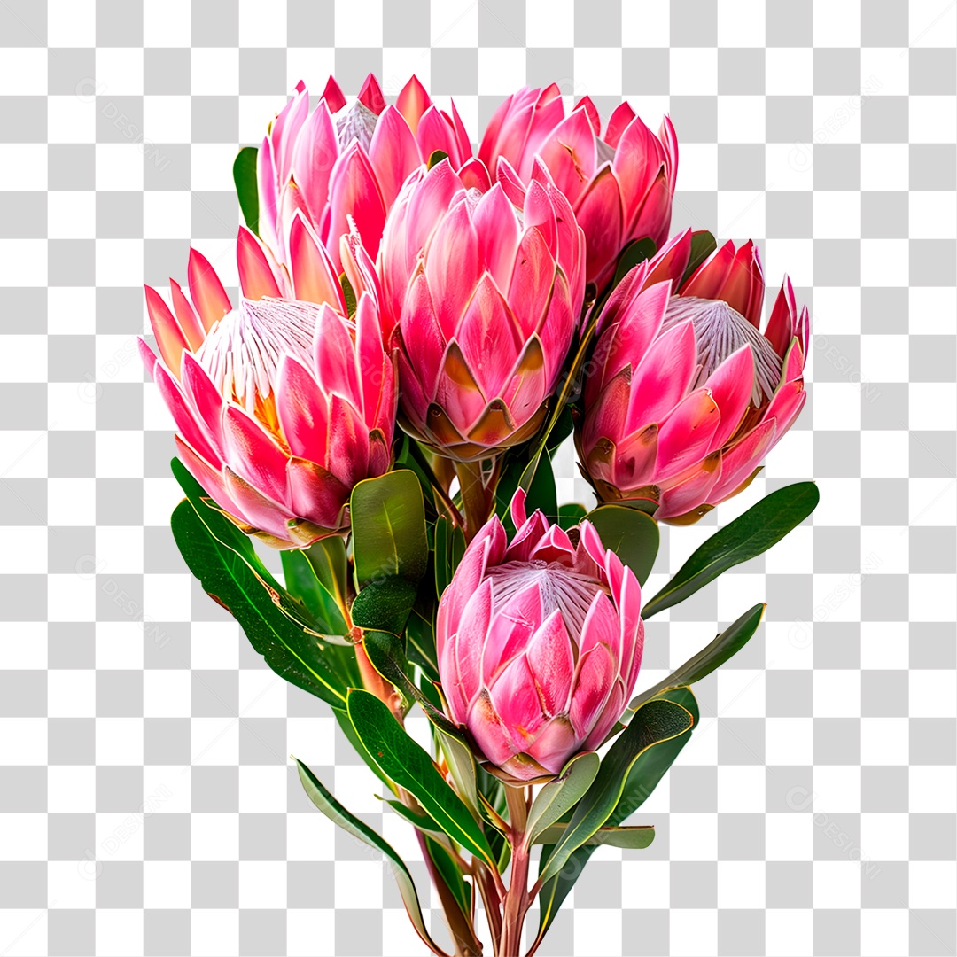 Planta Galho PNG Transparente